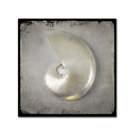 LightBoxJournal 'Golden Sea 1' Canvas Art,18x18